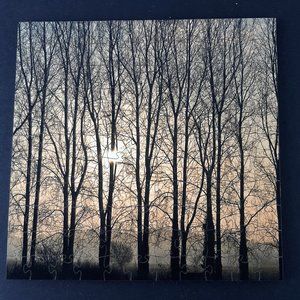 Zen Artisan Wooden Puzzle 125 Pieces Poplars at Su